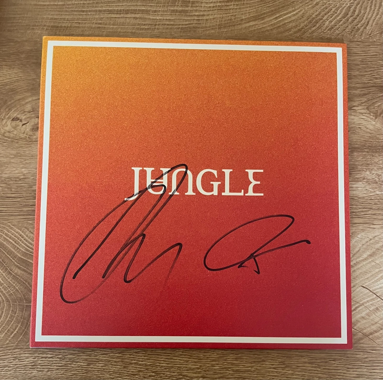 * JUNGLE * signed vinyl album * VOLCANO * JOSH LLOYD-WATSON & TOM MCFARLAND *