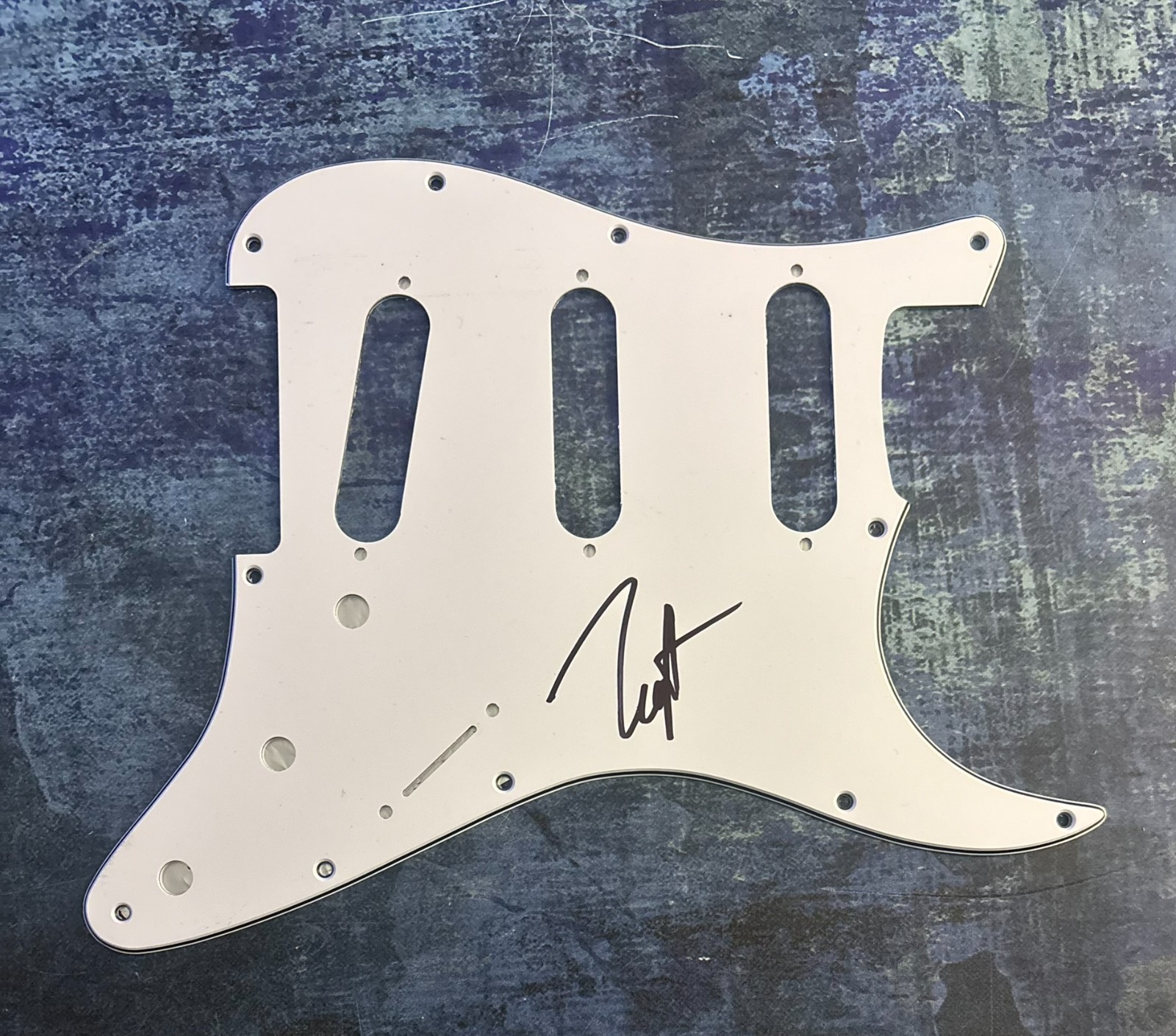 GFA Queen Photographer  * NEAL PRESTON *  Signed Electric Pickguard  PROOF COA