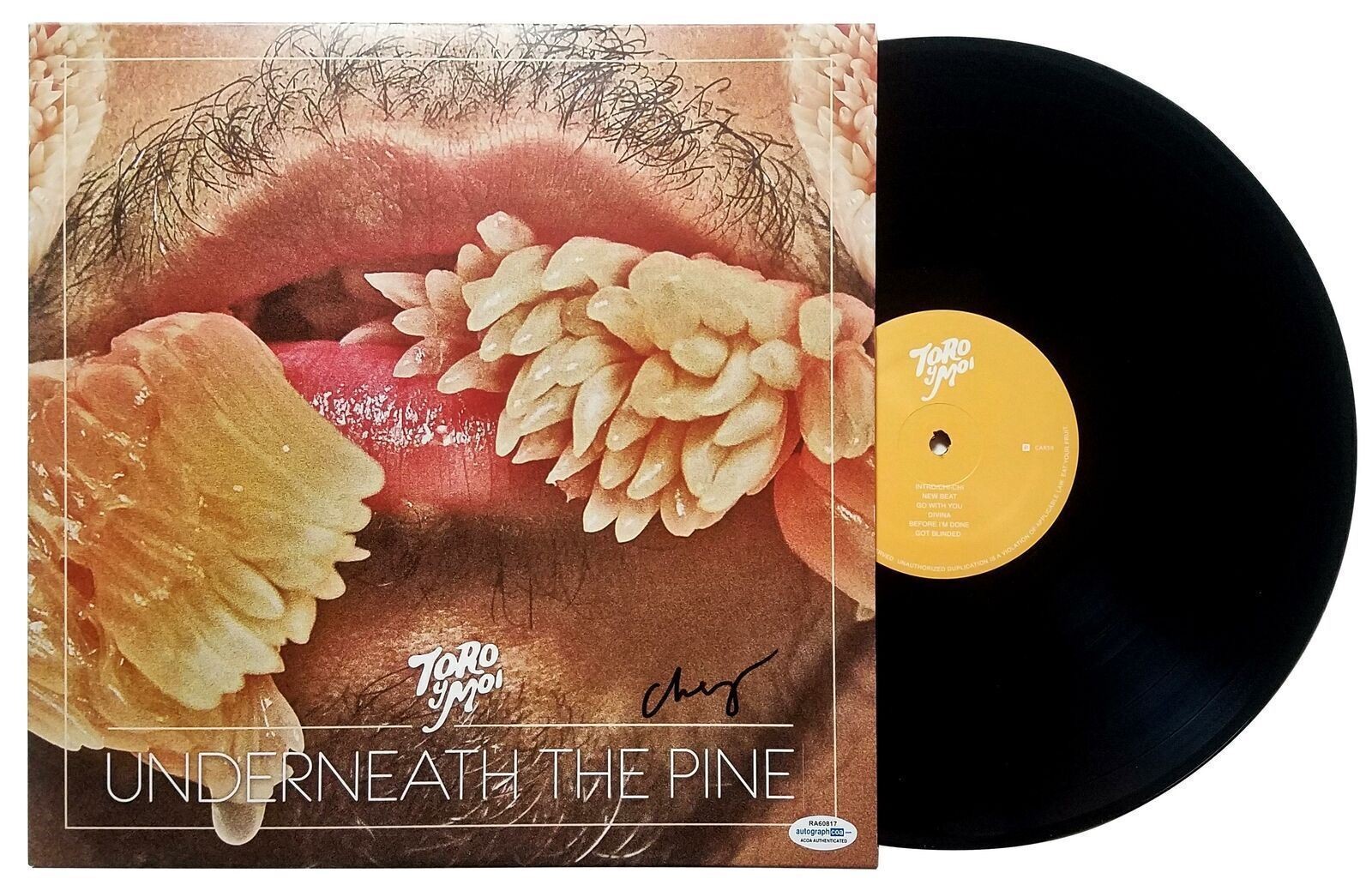 Toro y Moi Signed Underneath The Pine Album LP Chaz Bear ACOA