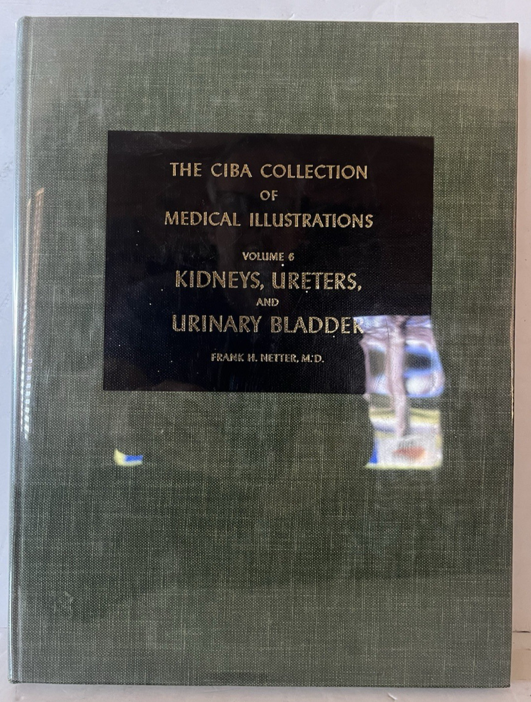 The CIBA Collection Medical Illustrations Vol 6 kidneys Ureters Urinary Bladder