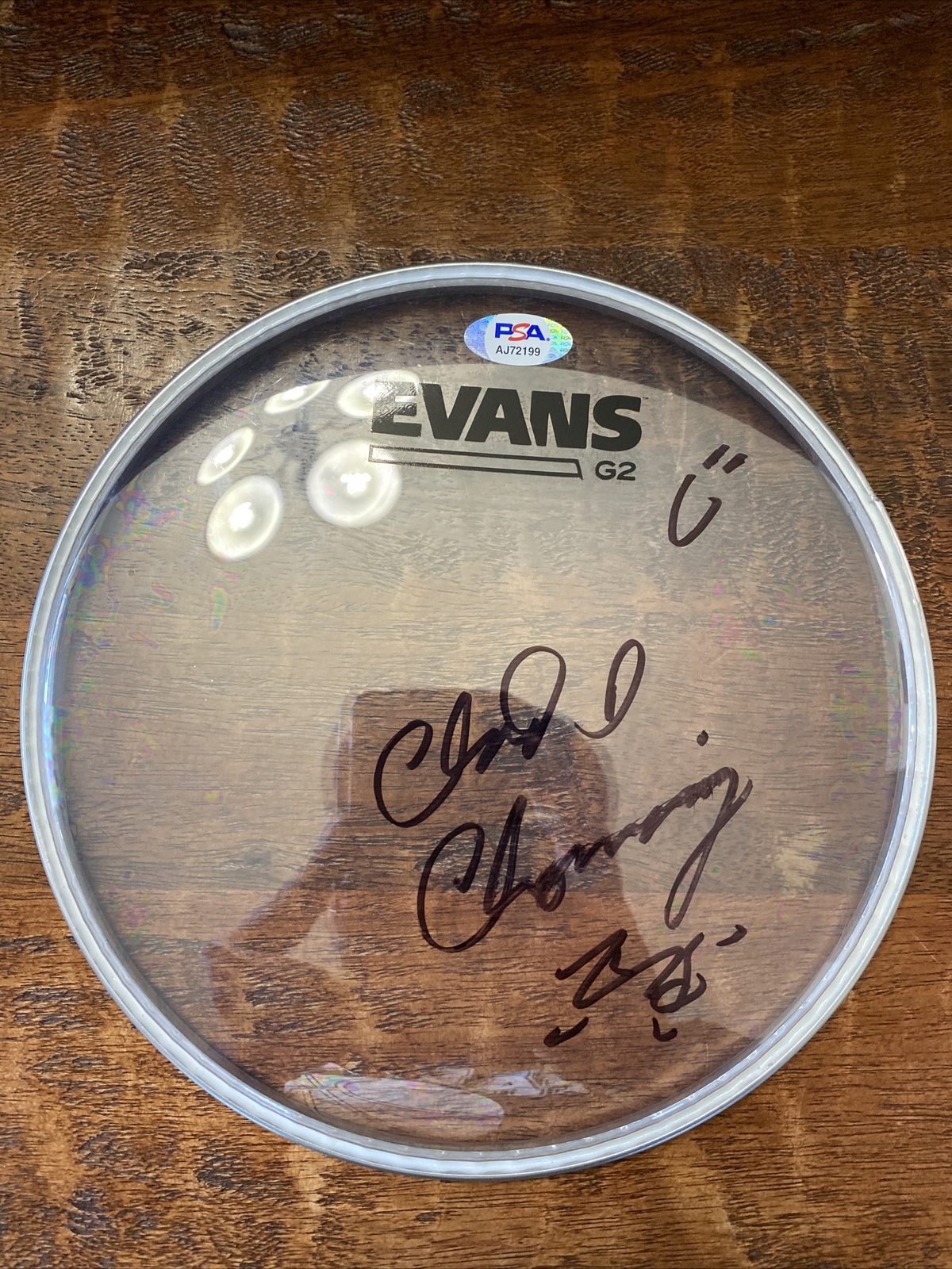 Chad Channing Signed 8” Evans Drum Head PSA DNA Coa Nirvana Autographed