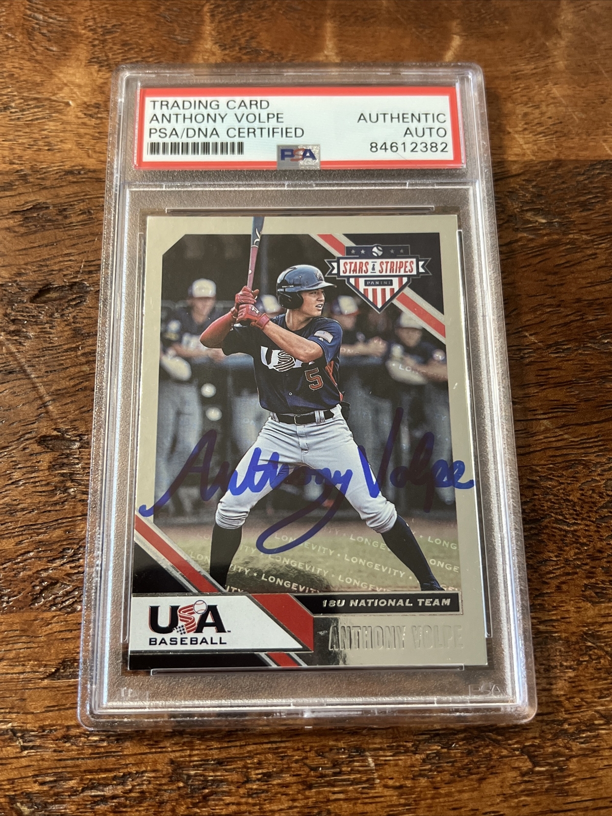 Anthony Volpe IP Signed Panini Card Psa Dna Coa Slab Yankees Autographed
