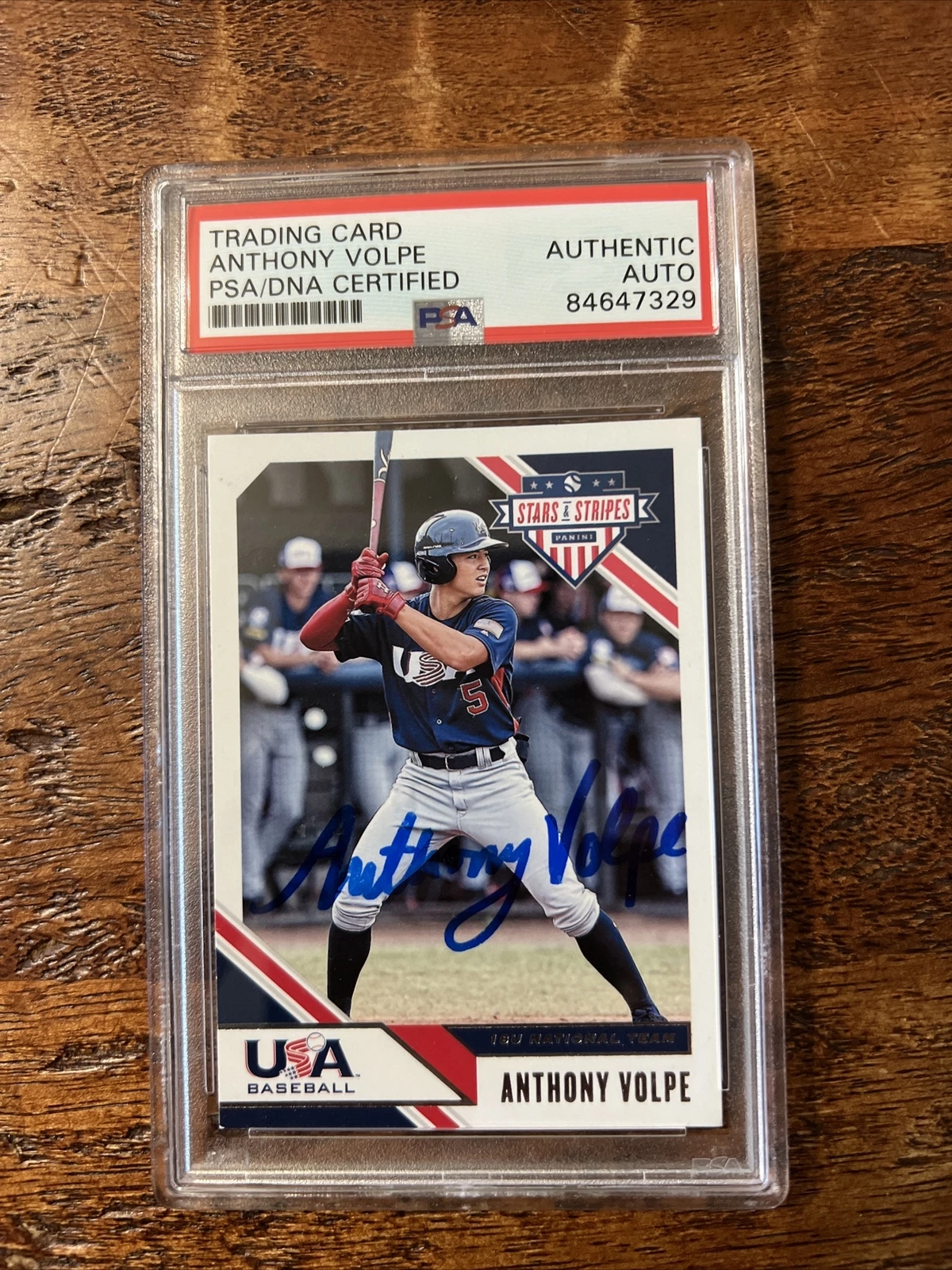 Anthony Volpe IP Signed Panini Card Psa Dna Coa Slab Yankees Autographed