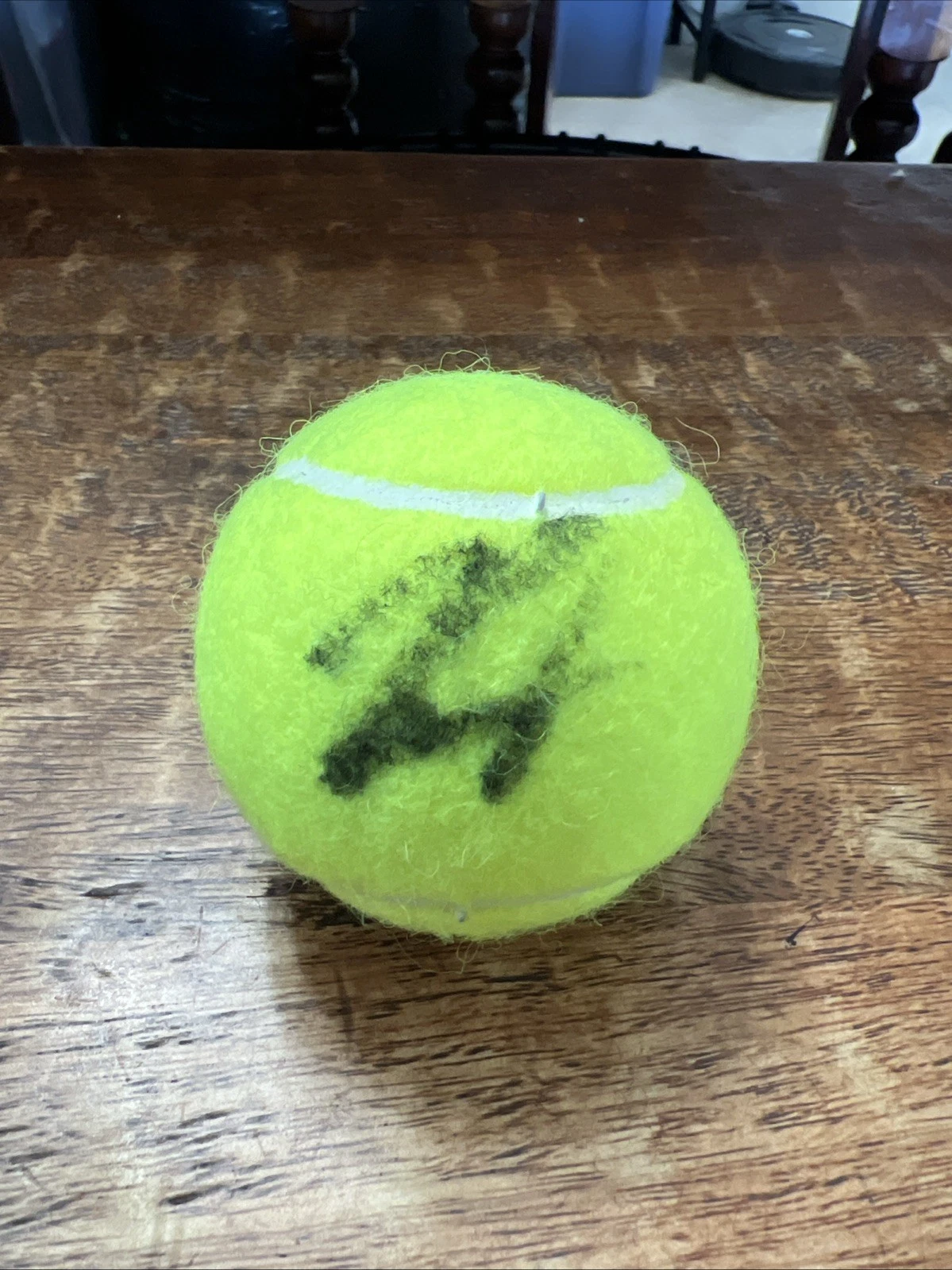John Isner Signed Tennis Ball JSA Coa Penn Autographed