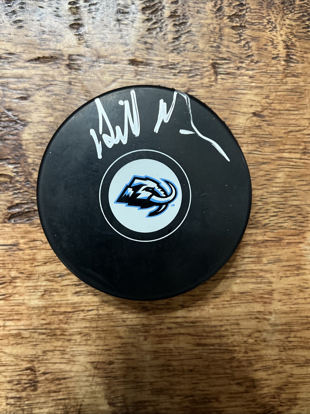 Bill Armstrong Signed Utah Mammoth Puck JSA Coa Autographed