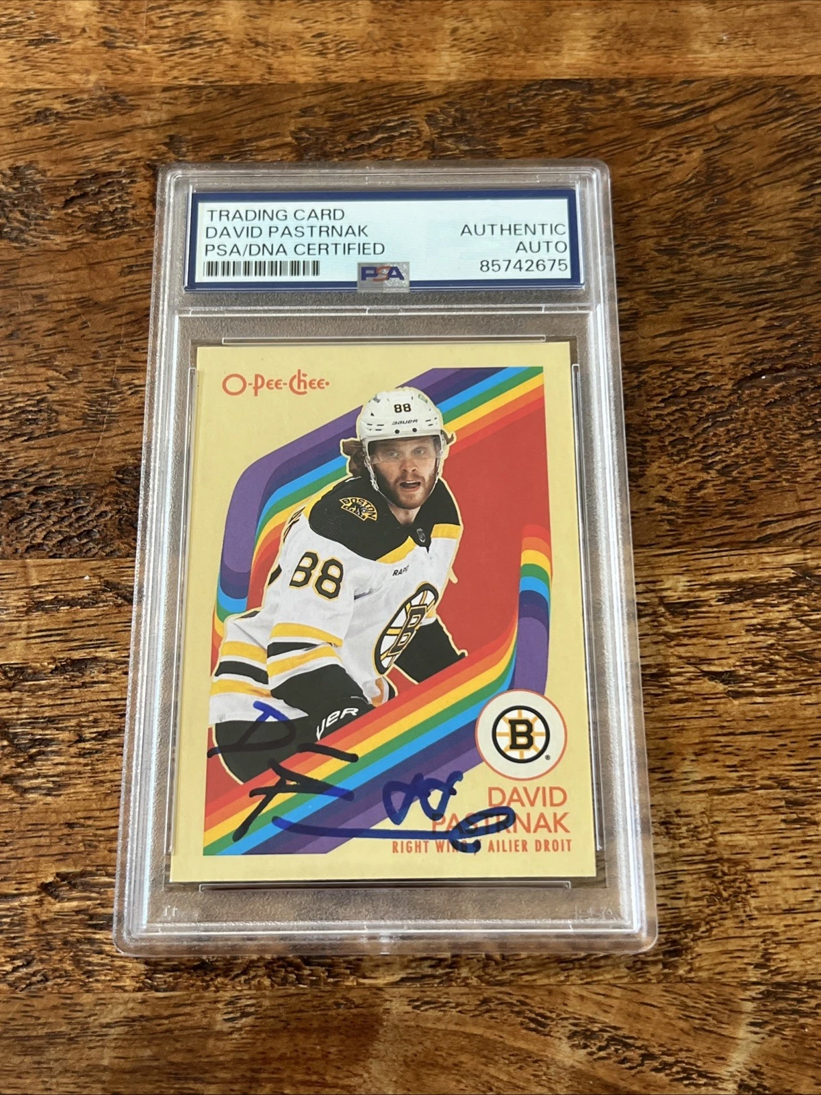 David Pastrnak IP Signed O Pee Chee Retro Card PSA DNA Coa Bruins Autographed