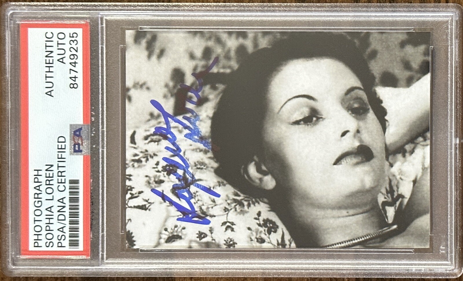 SOPHIA LOREN AUTOGRAPHED PICTURE PSA DNA COA SIGNED SEXY SUPER MODEL PHOTOGRAPH
