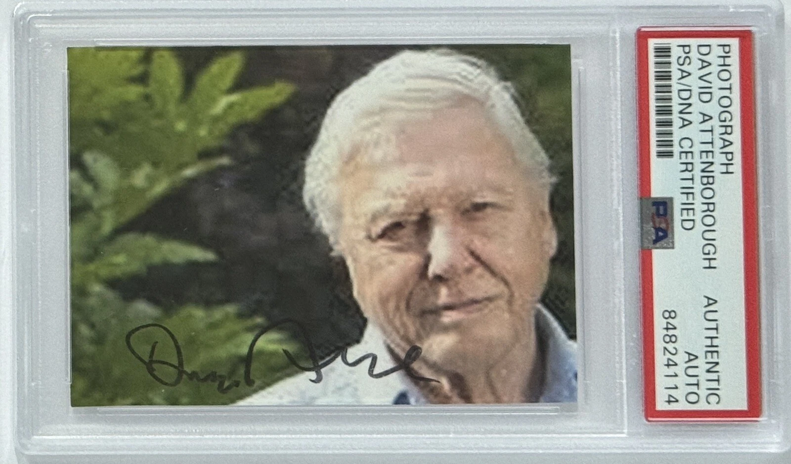 DAVID ATTENBOROUGH SIGNED PICTURE PHOTOGRAPH AUTOGRAPH PSA DNA COA Planet Earth