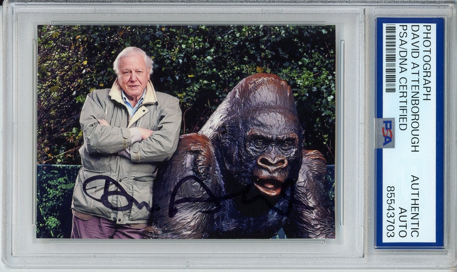 DAVID ATTENBOROUGH SIGNED AUTOGRAPH PLANET EARTH GORILLA PHOTOGRAPH PSA DNA COA