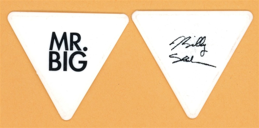 Mr. Big Billy Sheehan Vintage Guitar Pick - 2009 Reunion Tour