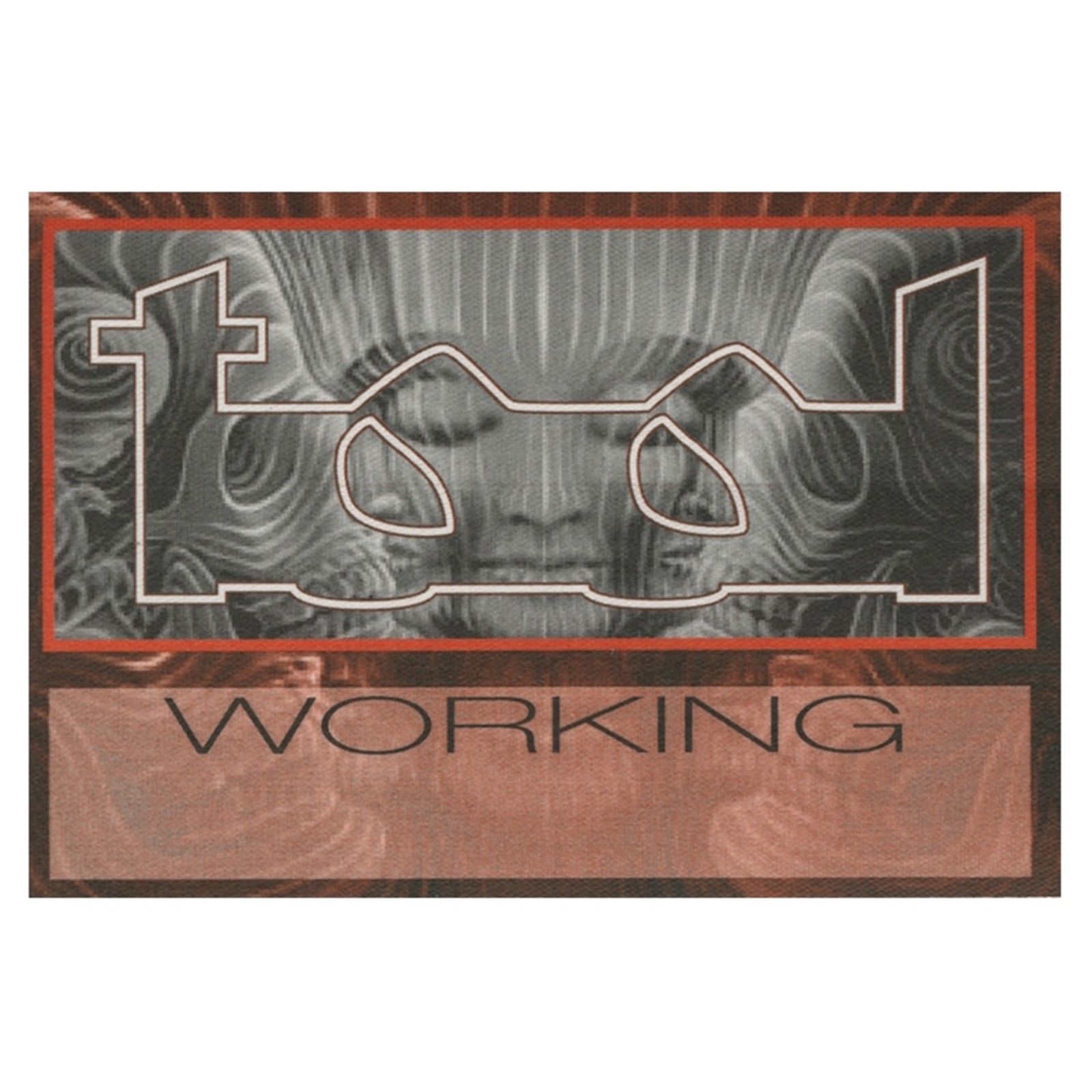 Tool 2002 Lateralus Concert Tour Working Backstage Pass