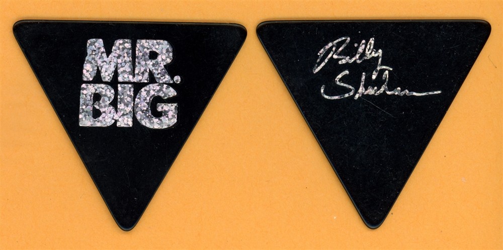 Mr. Big Billy Sheehan Vintage Guitar Pick - 1991 Lean Into It Tour