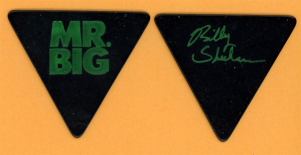Mr. Big Billy Sheehan Vintage Guitar Pick - 1991 Lean Into It Tour