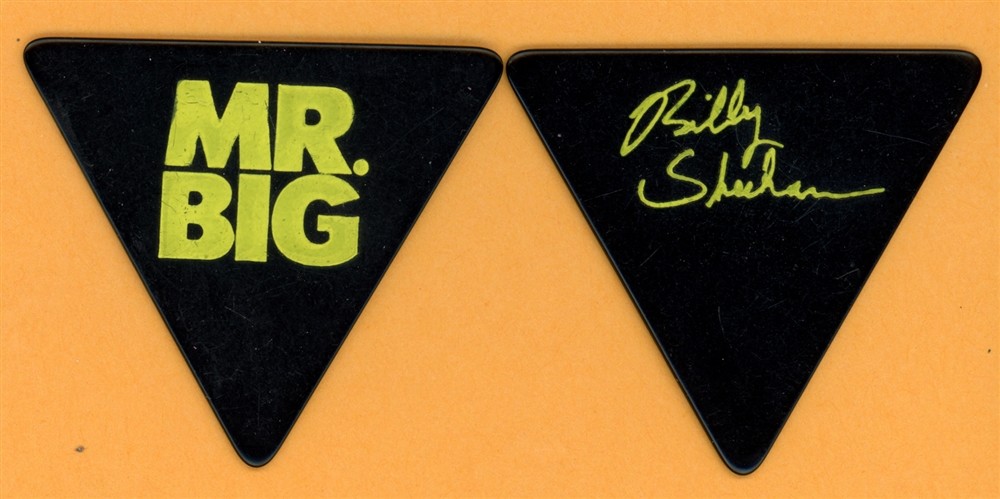 Mr. Big Billy Sheehan Vintage Guitar Pick - 1991 Lean Into It Tour