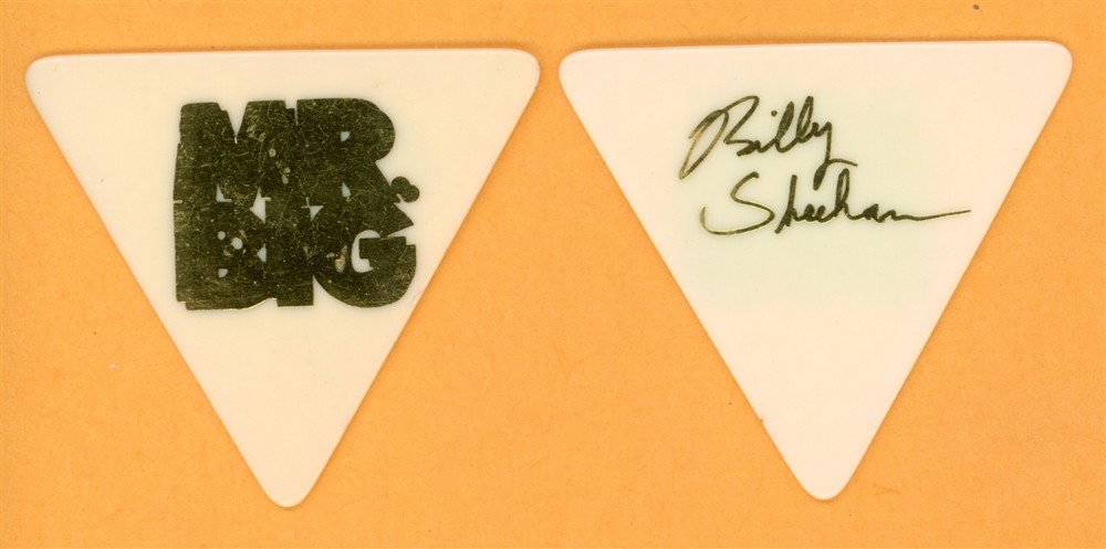 Mr. Big Billy Sheehan Vintage Guitar Pick - 1991 Lean Into It Tour