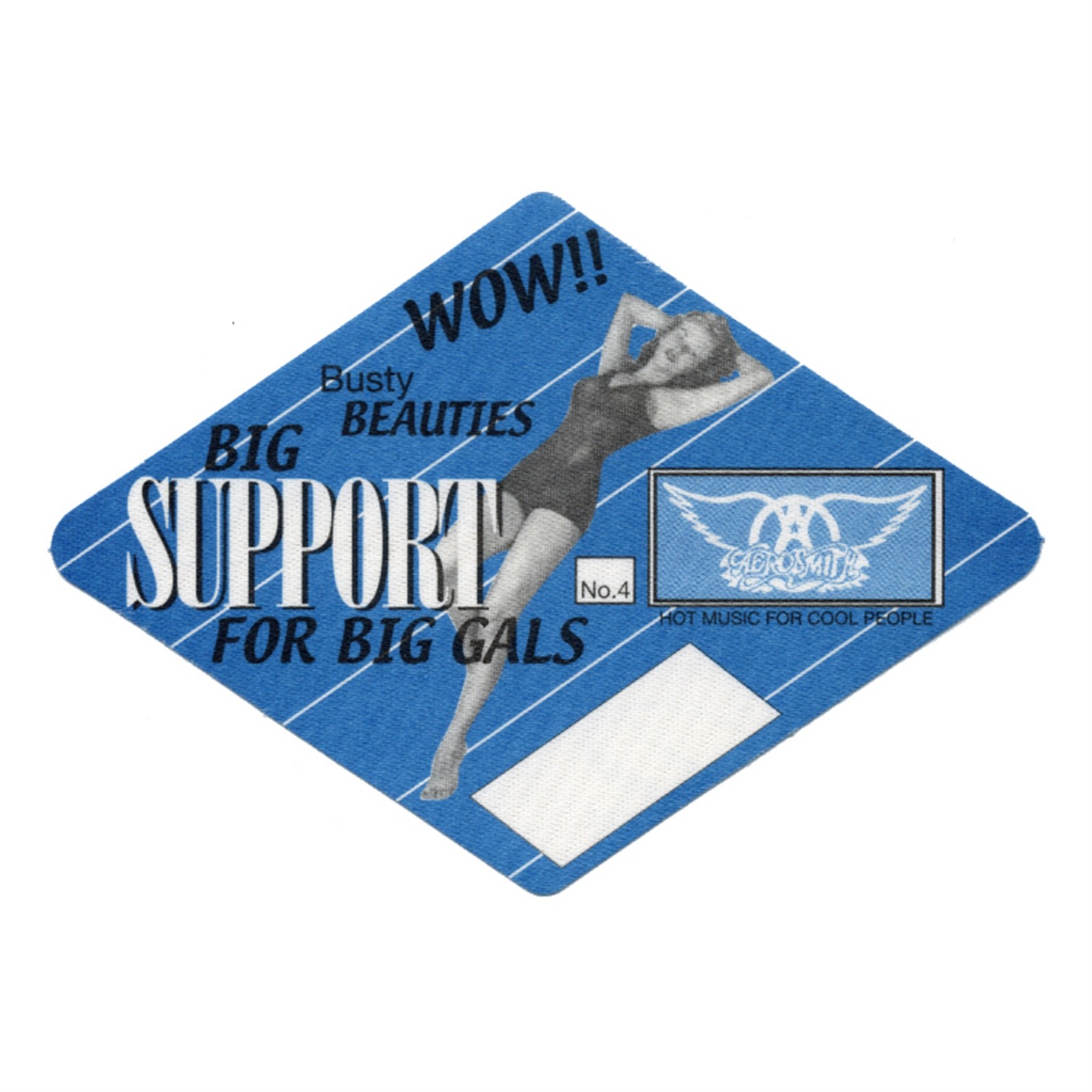 Aerosmith 1998 Nine Lives Concert Tour Support Backstage Pass