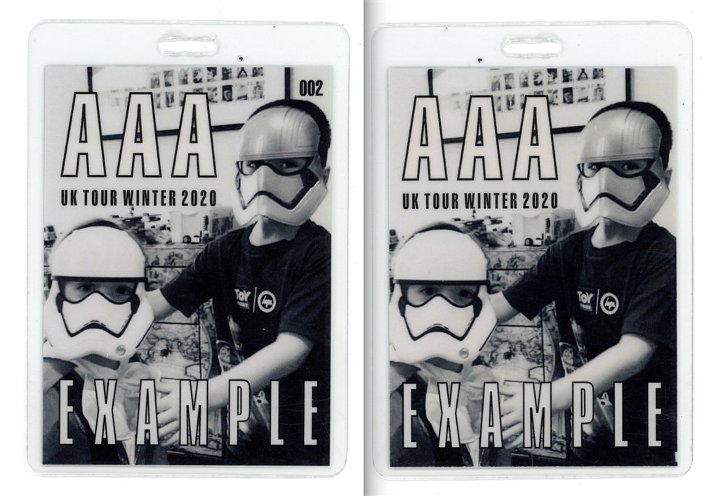 Example 2020 Rap AAA Laminated Backstage Pass