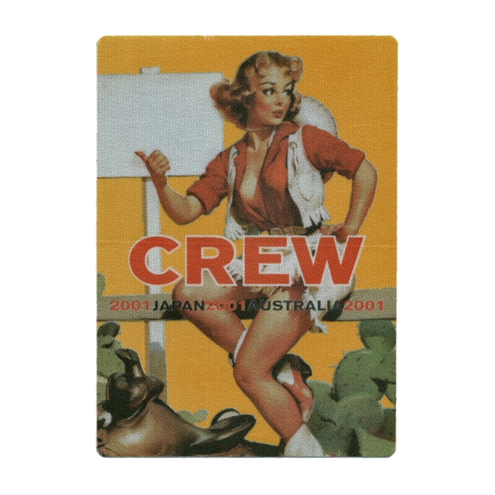 Bob Dylan 2001 Love and Theft Concert Tour Crew Backstage Pass