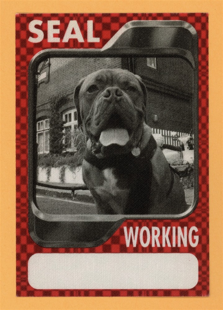 Seal 2003 IV Concert Tour WORKING Backstage Pass