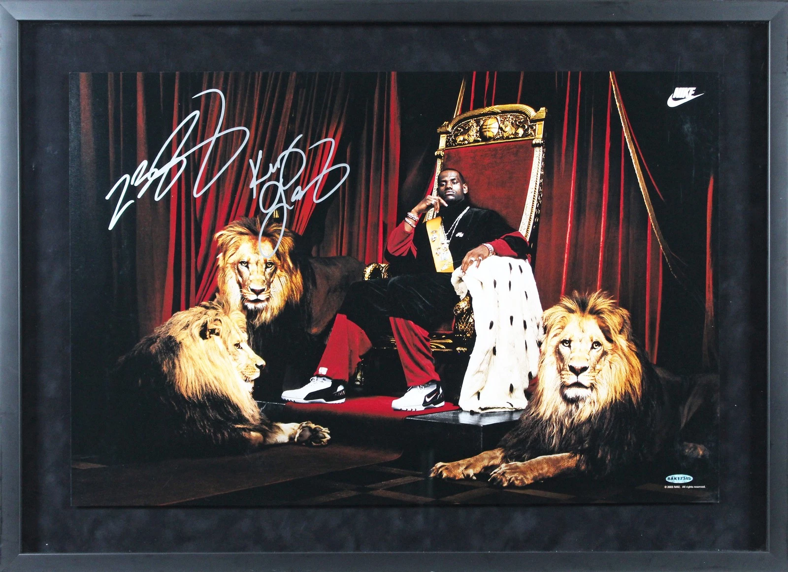 Cavaliers LeBron James 