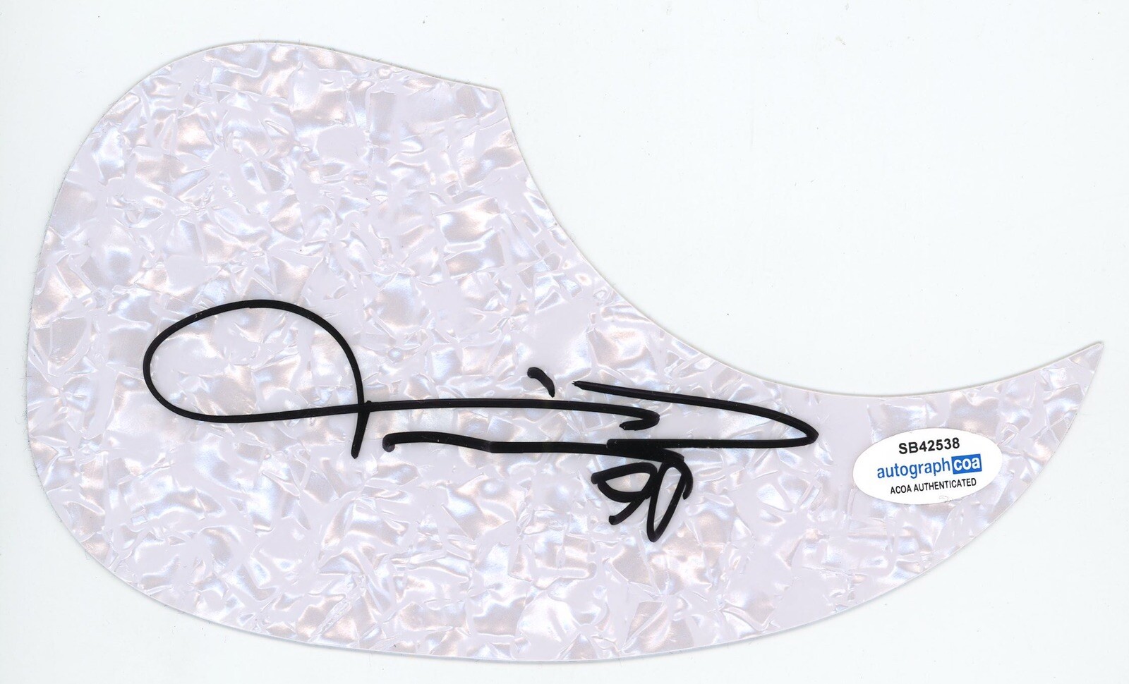 FASTER PUSSYCAT TAIME DOWNE SIGNED PICKGUARD ACOA CERTIFIED AUTOGRAPH ROCK
