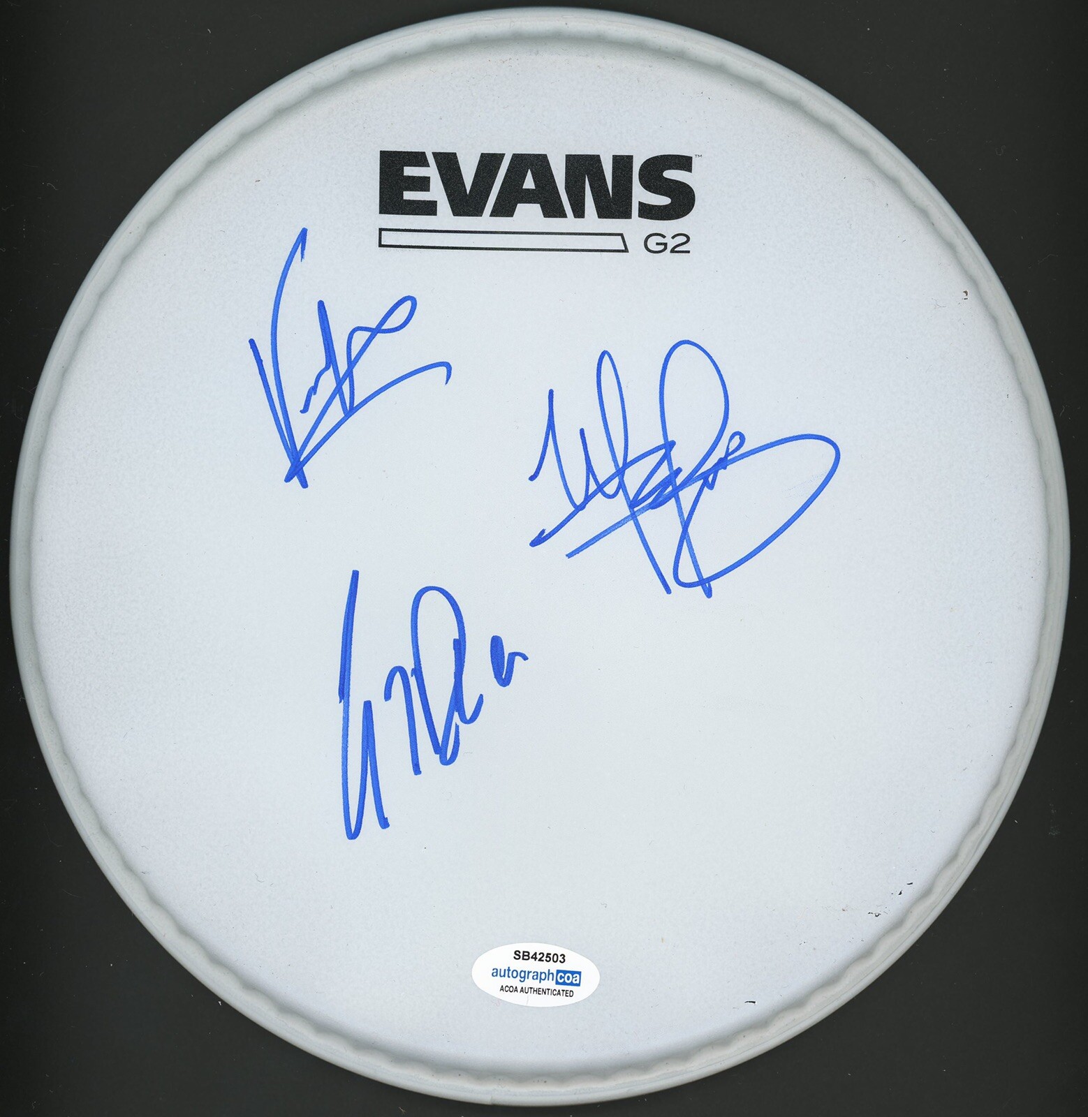 SEVENDUST LAJON WITHERSPOON SIGNED AUTOGRAPHED DRUMHEAD HORNSBY ROSE ACOA CERT