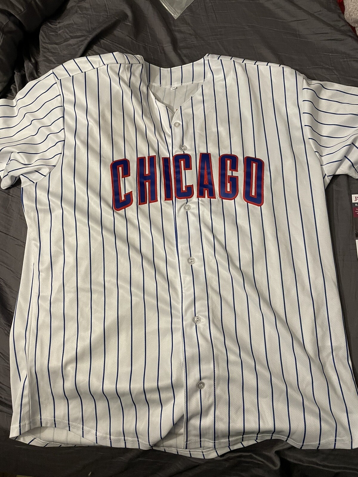 CHICAGO CUBS ALEXANDER CANARIO SIGNED CUSTOM JERSEY XXL JAA COA