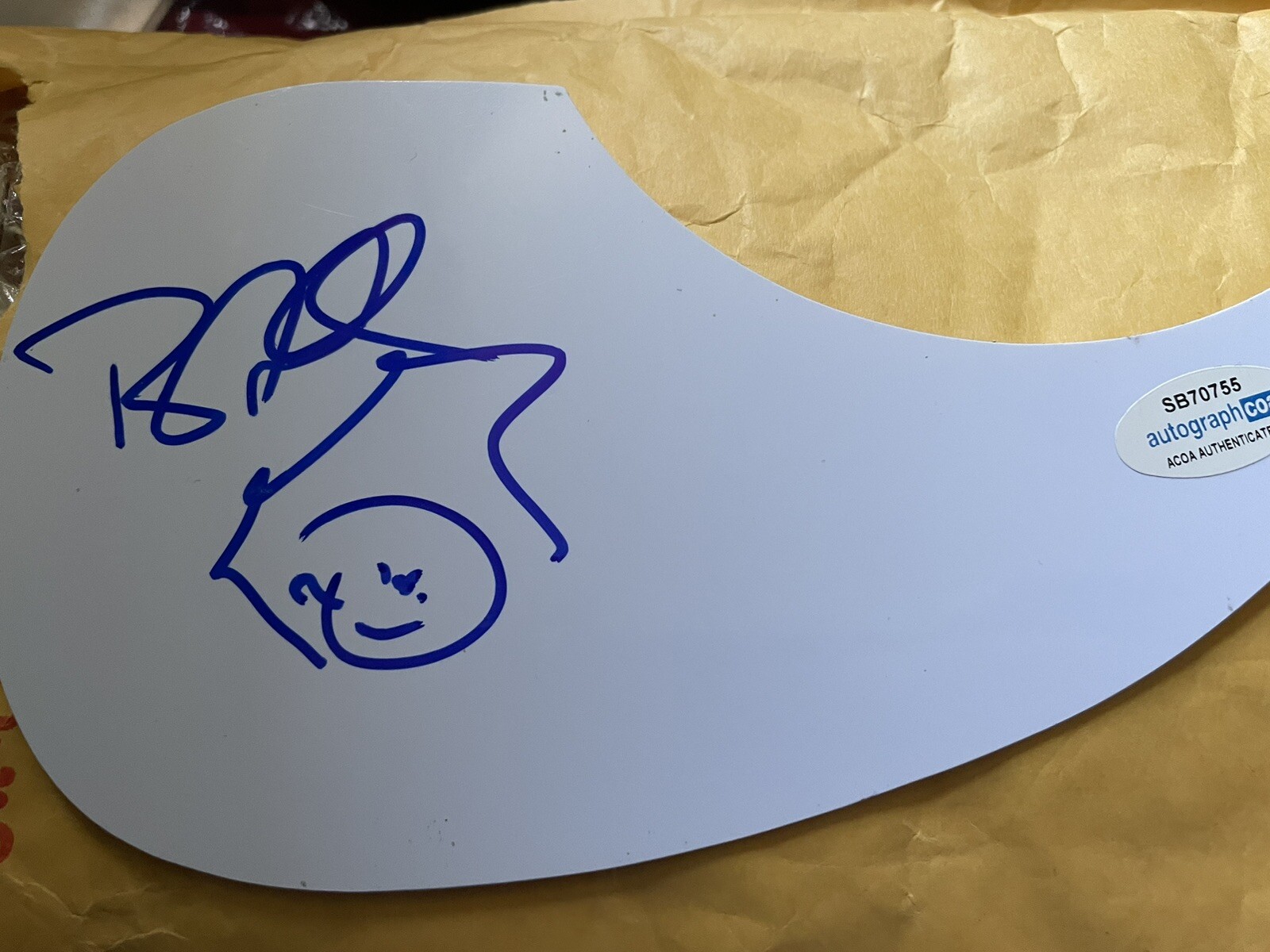 POP ROCK MUSICIAN RYAN CABRERA SIGNED AUTOGRAPHED PICKGUARD ACOA CERTIFIED