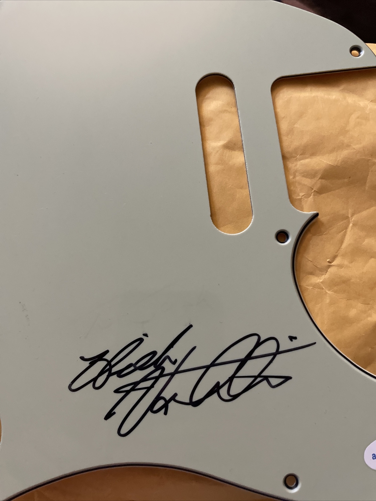 Hilton Valentine Animals HOF Signed Guitar Pick guard Rising Sun ACOA CERTIFIED
