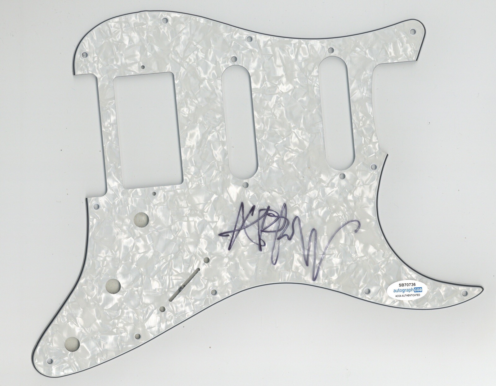 ROCK BAND STARCRAWLER ARROW DE WILDE SIGNED AUTOGRAPHED PICK GUARD ACOA CERT