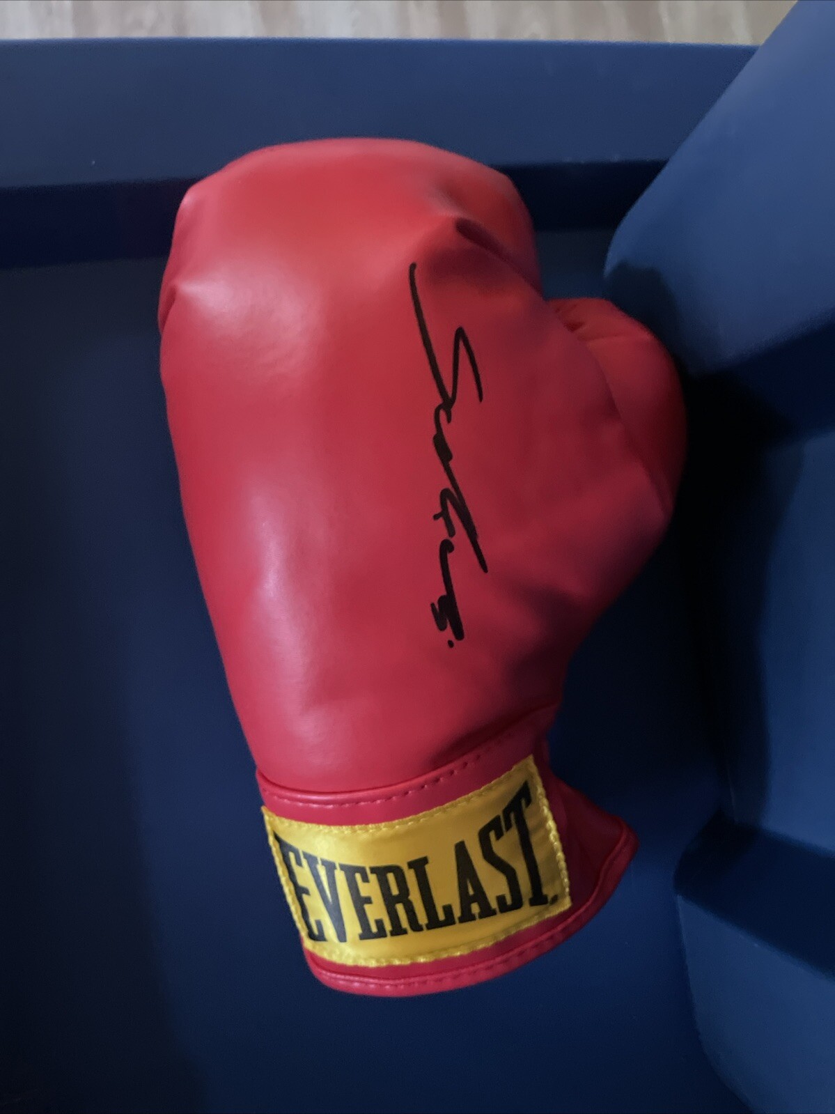 MACIEJ SULECKI STRICZU SIGNED AUTOGRAPH EVERLAST BOXING GLOVE COA POLISH COA