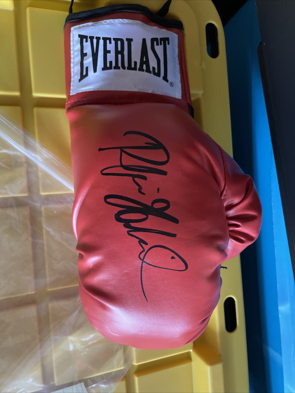 BOXING HALL OF FAMER REGINA HALMICH SIGNED AUTOGRAPHED BOXING GLOVE JSA
