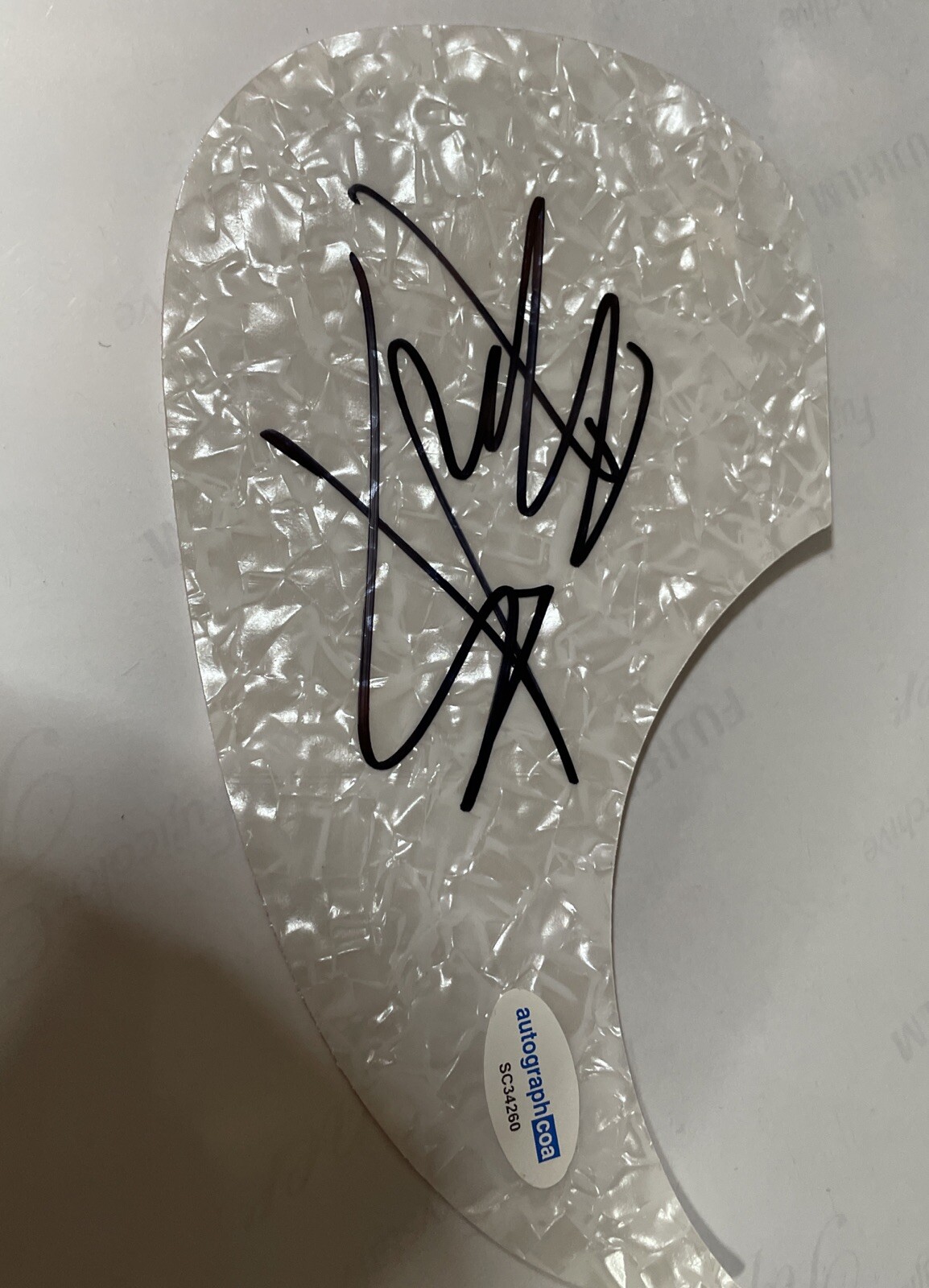 The Rocket Summer REAL hand SIGNED Pickguard Autographed Bryce Avary ACOA COA
