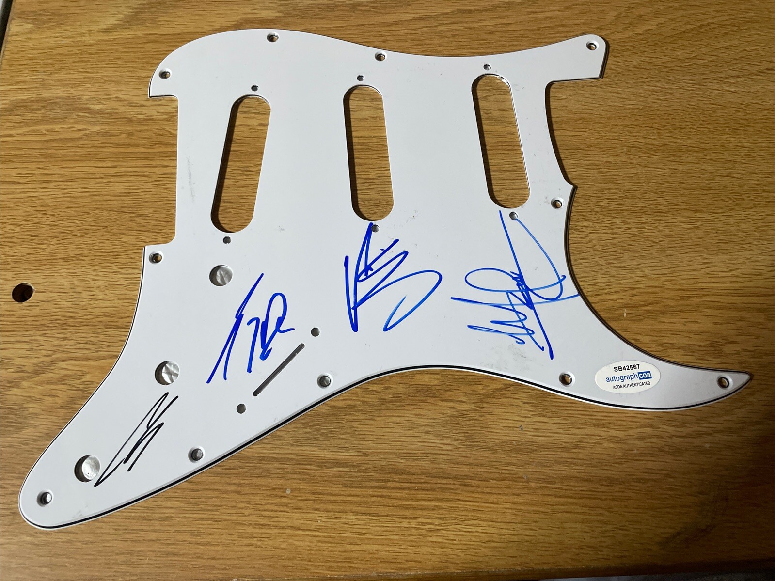 ROCK BAND SEVENDUST SIGNED AUTOGRAPHED PICKGUARD LAJON V HORNSBY ACOA COA ROSE