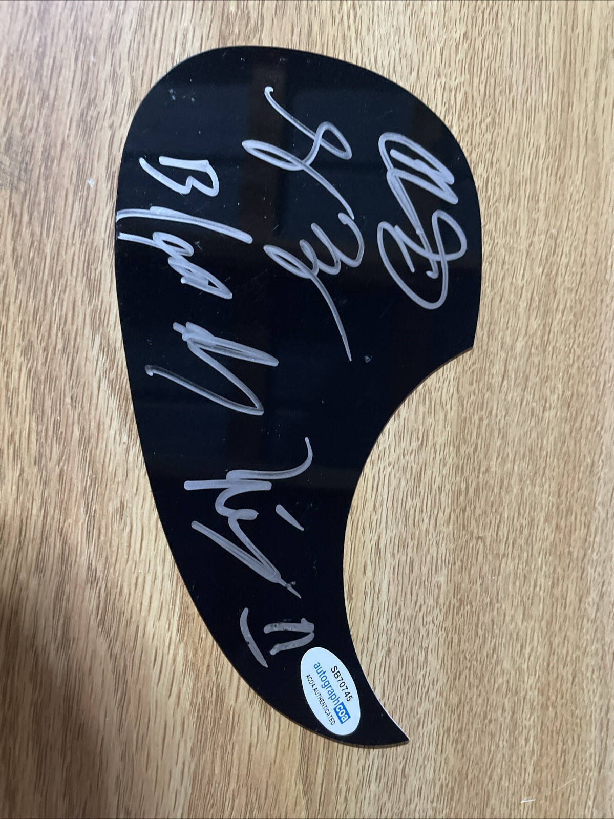 ROCK BAND JOYOUS WOLF SIGNED AUTOGRAPHED PICKGUARD ACOA ALLARD REESE