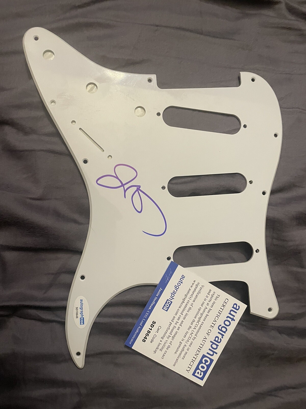 JOHNNY VAN ZANT LYNYRD SKYNYRD SIGNED AUTOGRAPH STRAT PICKGUARD ACOA GUITAR ROCK