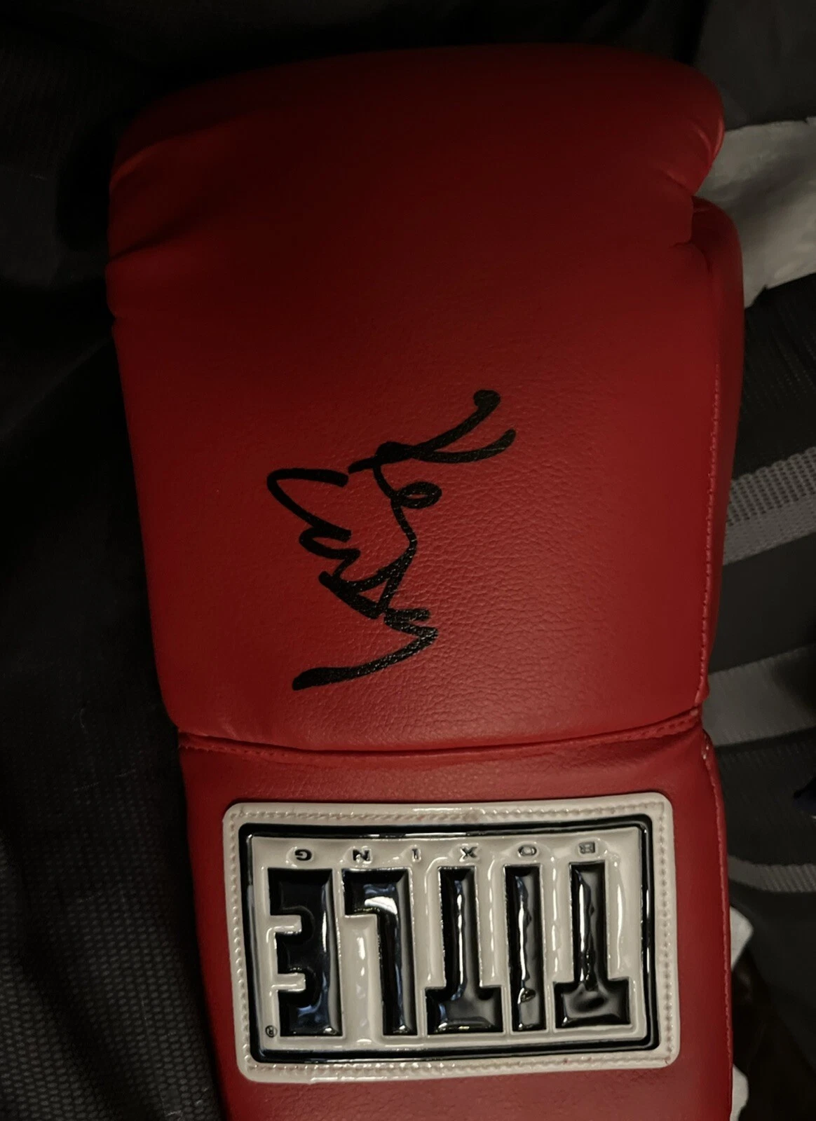 DROPKICK MURPHYS KEN CASEY SIGNED AUTO BOXING GLOVE JSA CERT