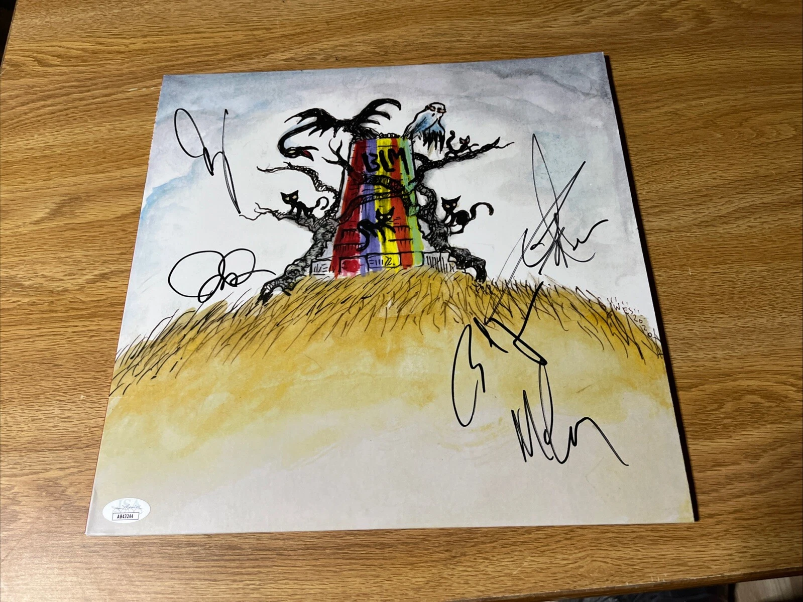 DRIVE BY TRUCKERS SIGNED VINYL PATTERSON HOOD MIKE COOLEY JAY G JSA COA