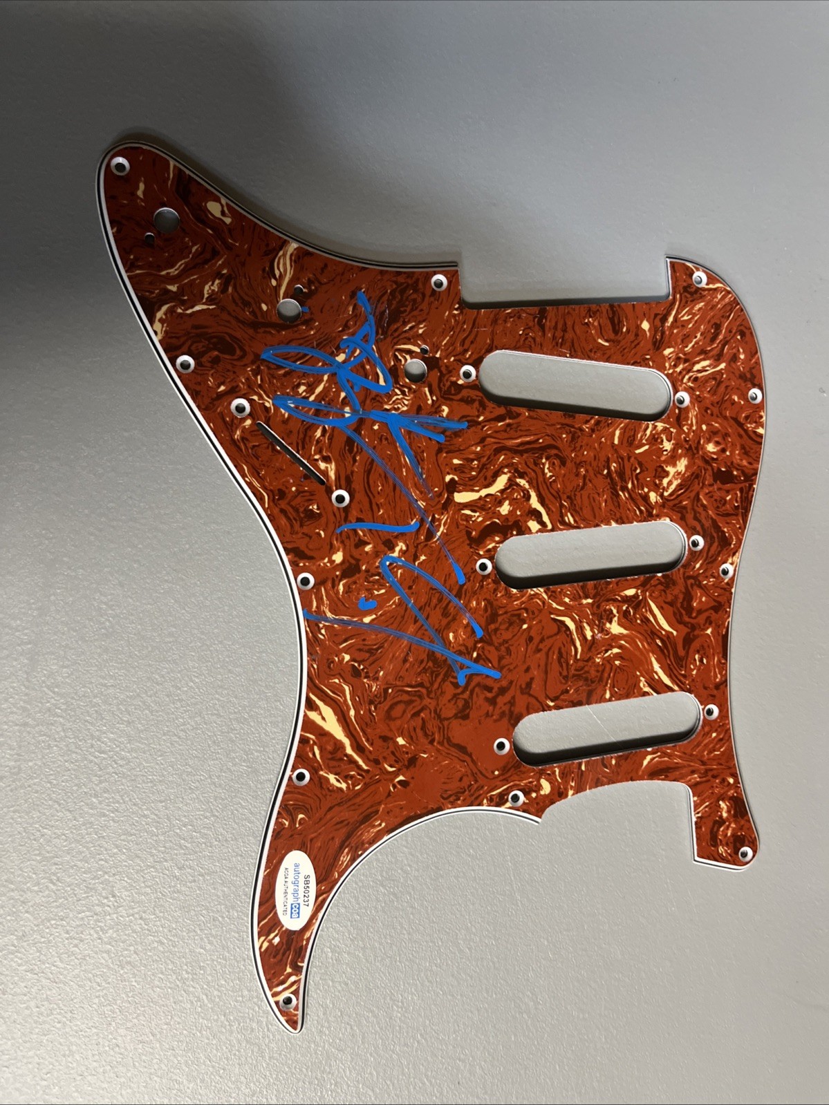 THEORY OF A DEADMAN TYLER CONNOLLY DEAN BACK SIGNED STRAT PICK GUARD ACOA BAD GF