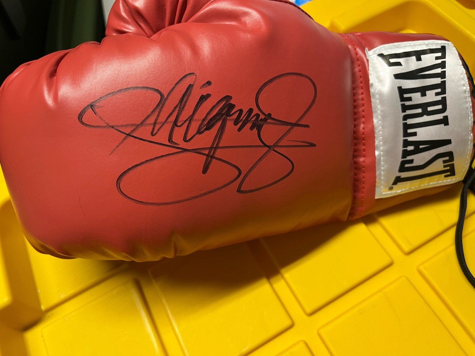 Manny Pacquiao autograph auto signed Everlast boxing glove Hof 2025 JSA Legend