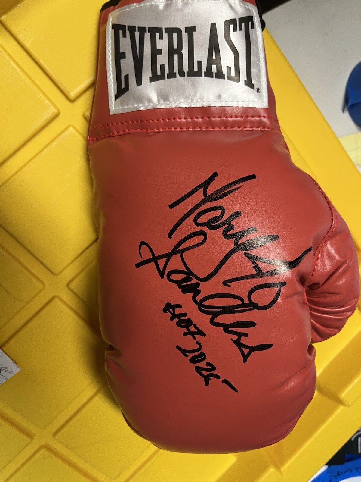 HOF 2025 MARY JO SANDERS SIGNED AUTOGRAPHED BOXING GLOVE JSA COA CHAMPION