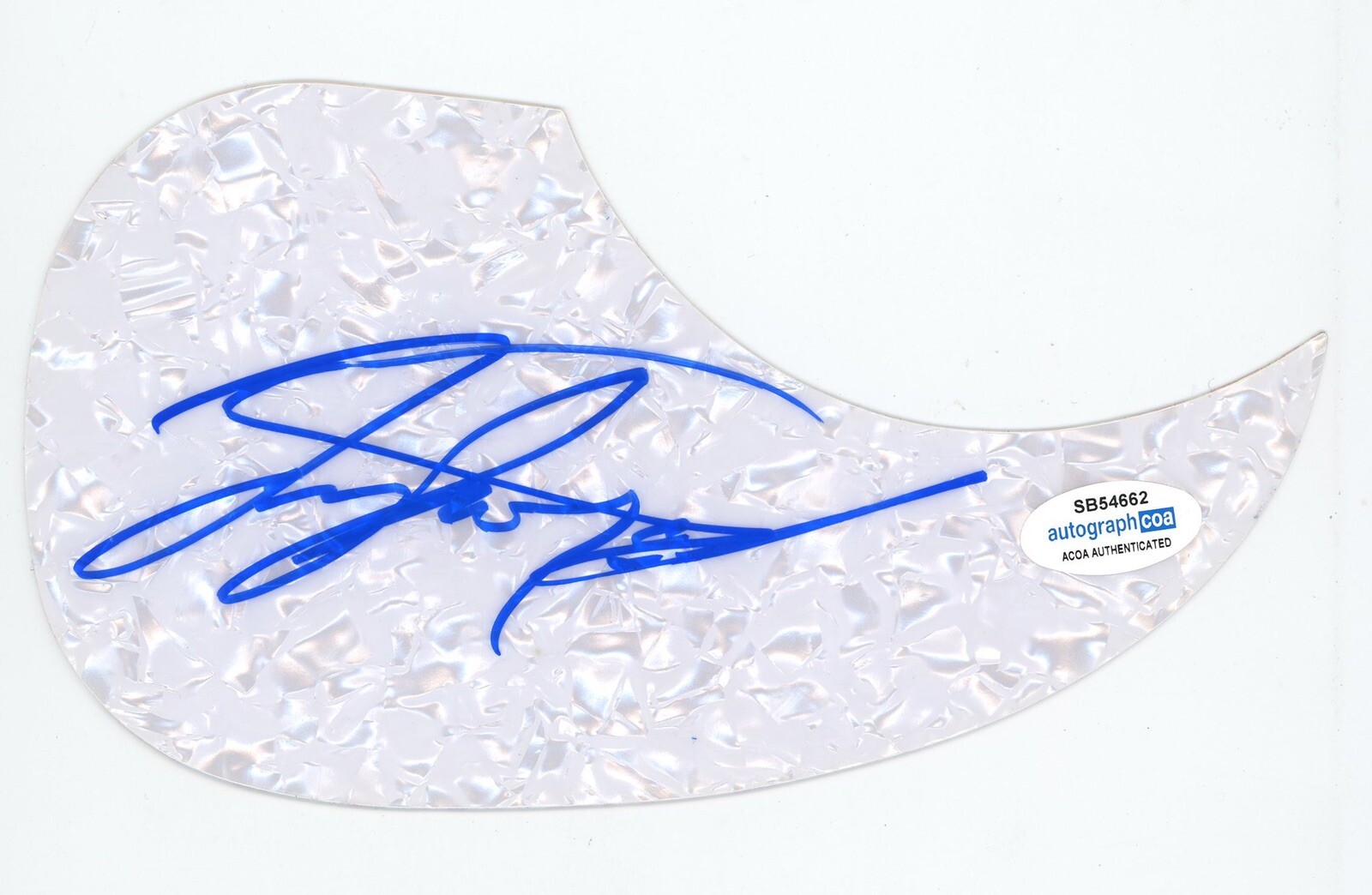 TAYLOR MCCALL SIGNED AUTOGRAPH ACOUSTIC GUITAR PICKGUARD ACOA BLACK POWDER SOUL