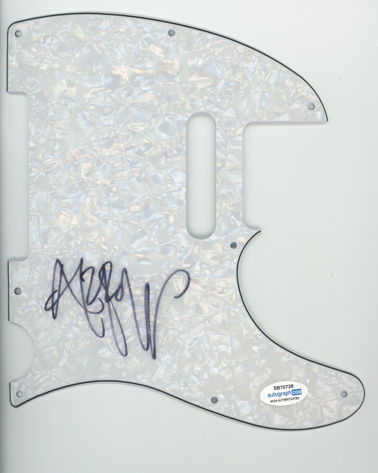 ROCK BAND STARCRAWLER ARROW DE WILDE SIGNED AUTOGRAPHED PICK GUARD ACOA CERT