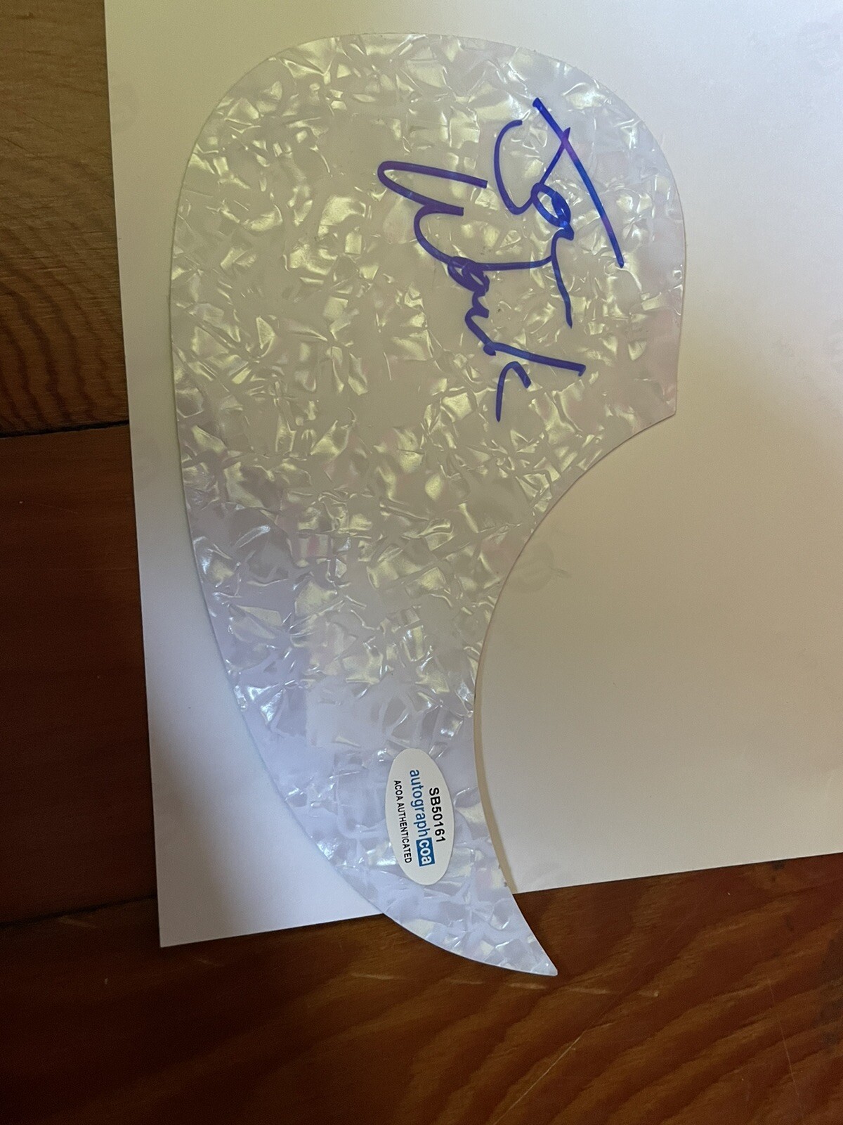 MARCY PLAYGROUND JOHN WOZNIAK SIGNED PICKGUARD ACOA CERTIFIED SEX AND CANDY