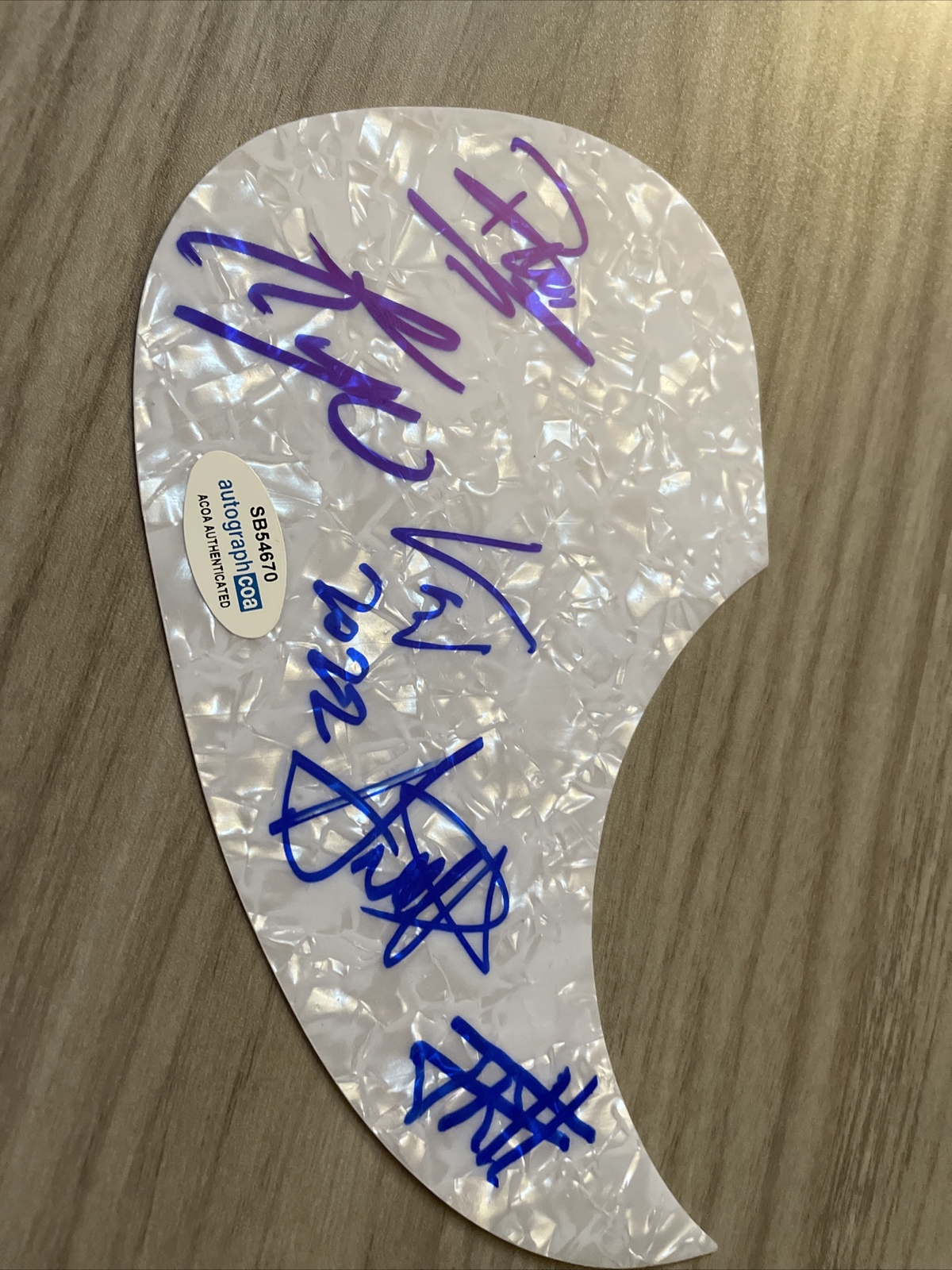 ROCK BAND SPONGE SIGNED  GUARD VINNIE DOMBROSKI ANDY TIM PATALAN NEELY ACOA