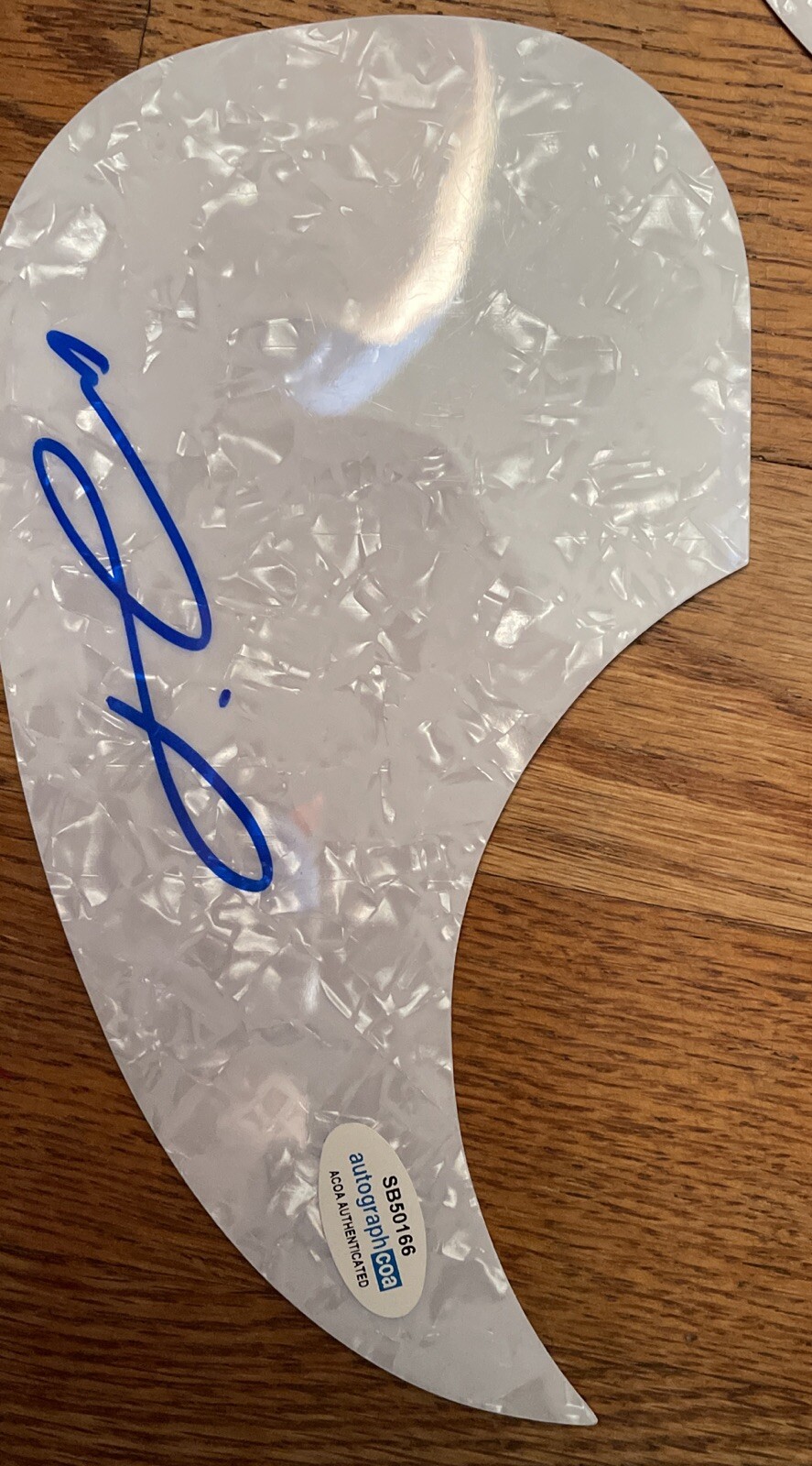 SINGER SONGWRITER ANNA TIVEL SIGNED PICKGUARD ACOA COA SMALL BELIEVER Blues Folk
