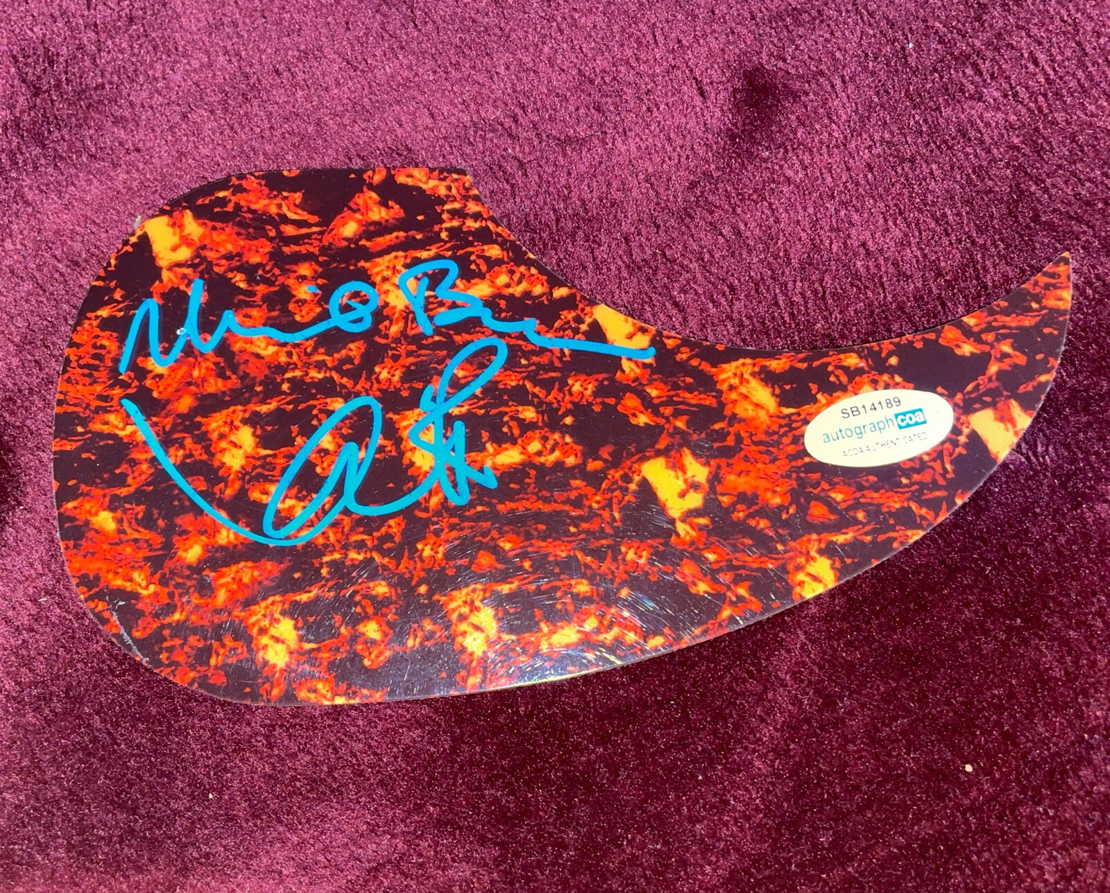 THE BACON BROTHERS KEVIN BACON MICHAEL BACON SIGNED AUTOGRAPHED PICKGUARD ACOA