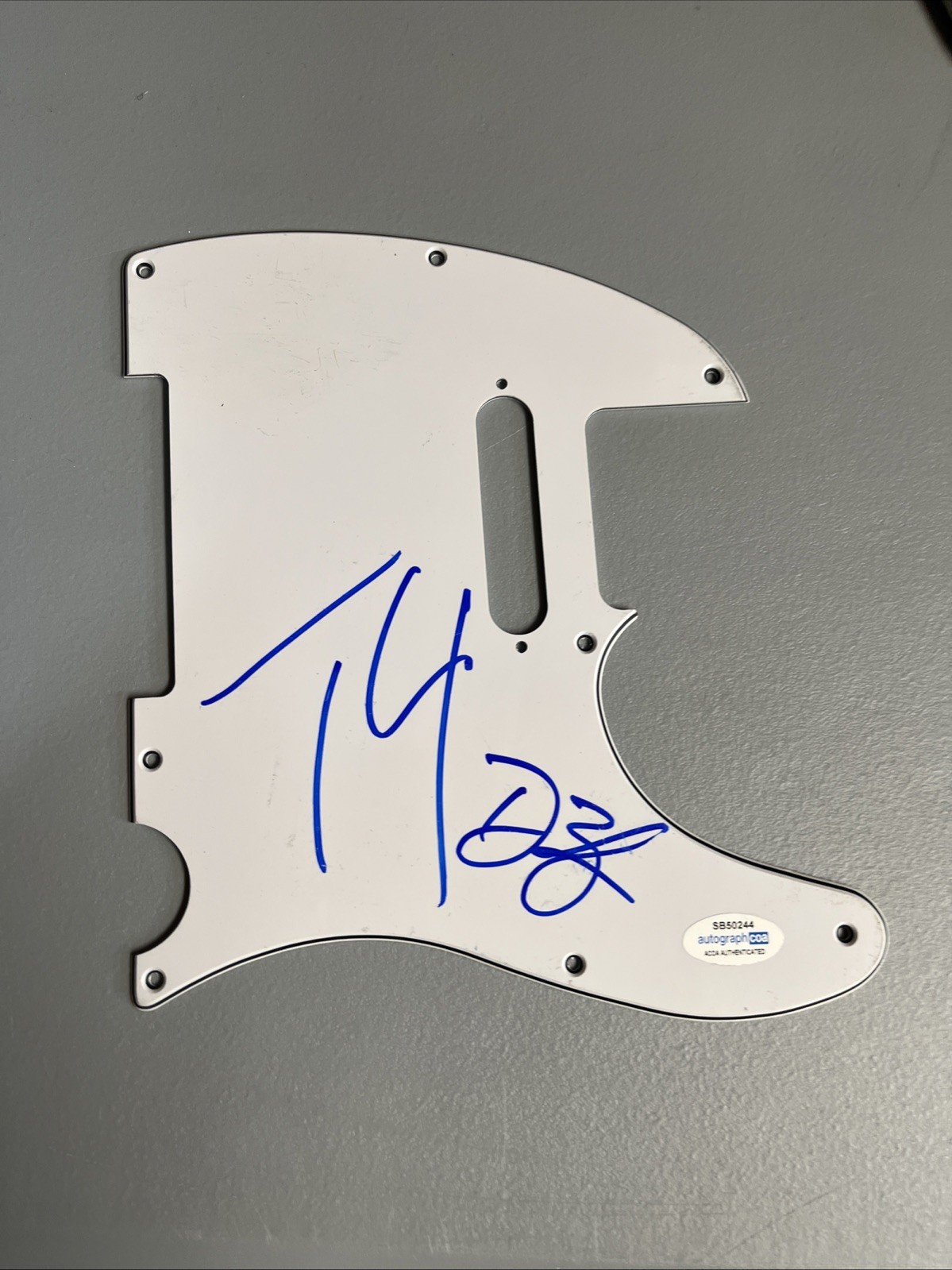 THEORY OF A DEADMAN TYLER CONNOLLY DEAN BACK SIGNED GUITAR  PICK GUARD ACOA BAD