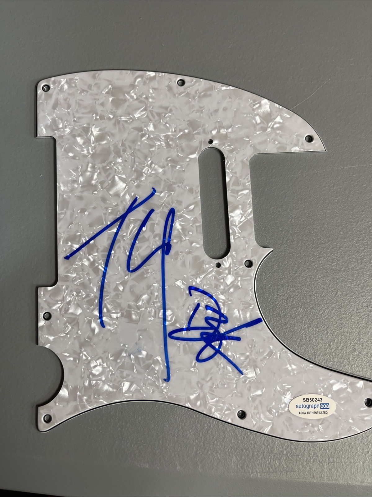 THEORY OF A DEADMAN TYLER CONNOLLY DEAN BACK SIGNED GUITAR  PICK GUARD ACOA BAD
