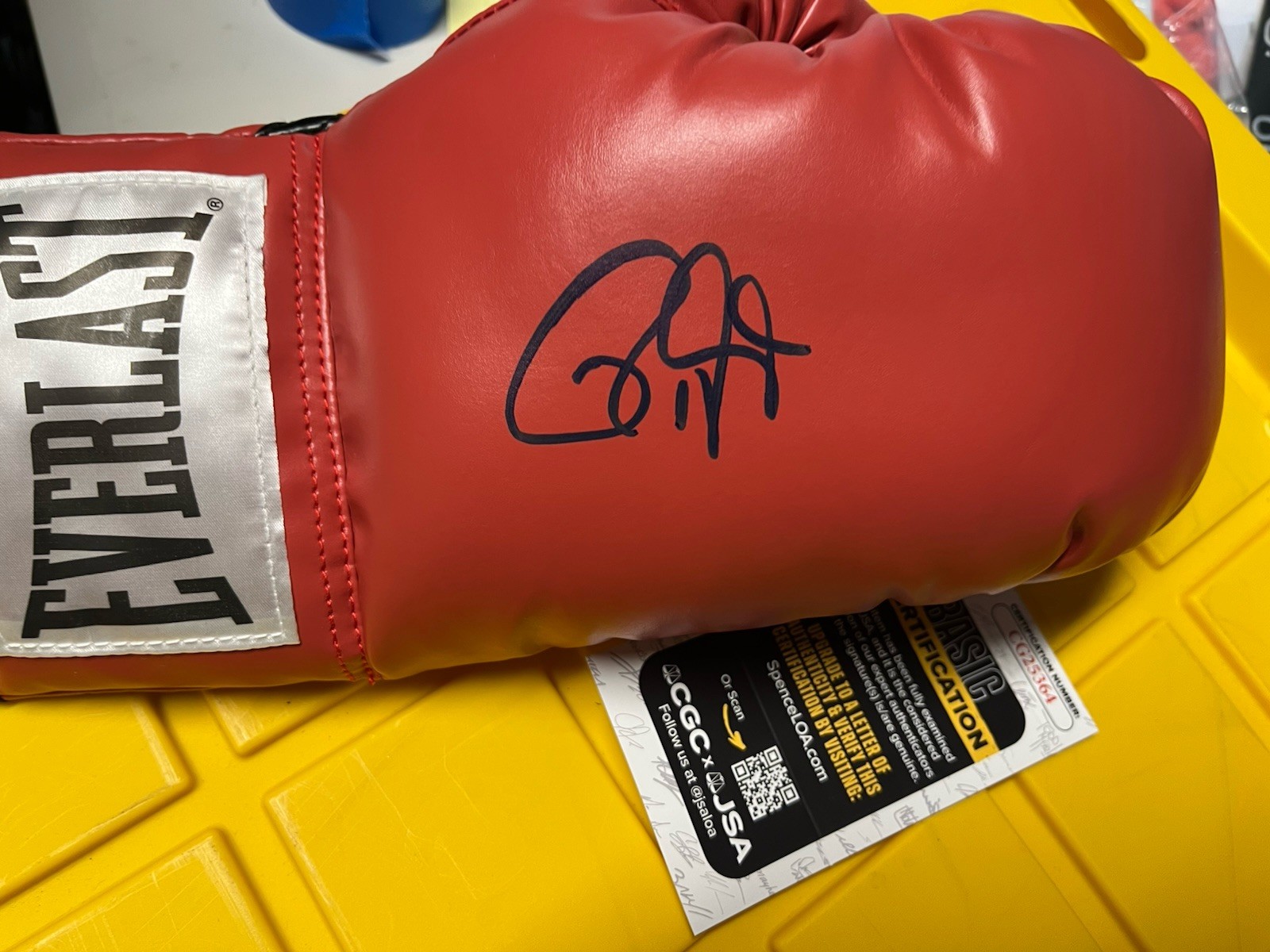 ROY JONES JR Signed Everlast Red Boxing Glove - JSA MULTIPLE WORLD TITLES AUTO